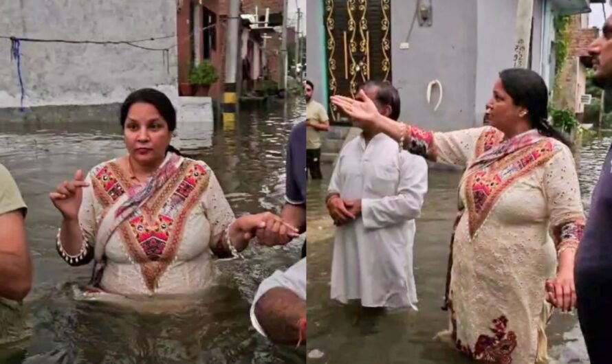 नीलम कृष्ण पहलवान ने किया नाले के टूटे हिस्से का निरीक्षण, दिया शीघ्र समाधान का आश्वासन